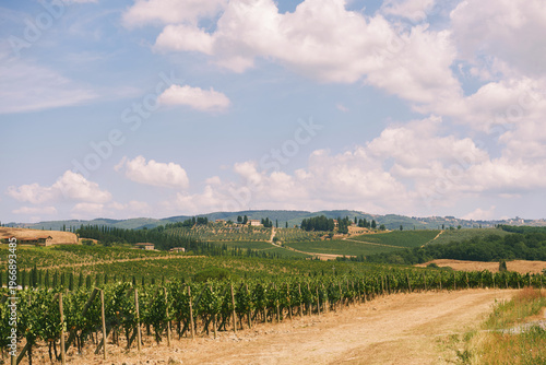 Beautiful Chianti countryside in Italy with vineyard rows, rolling hills and country road under blue sky with soft clouds, peaceful rural landscape in famous wine region