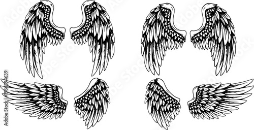 Black and White Angel Wings Set Isolated White Background Feathered Pair Collection