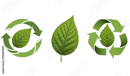 Green leaf symbol with recycling arrows and sustainable cycle graphic