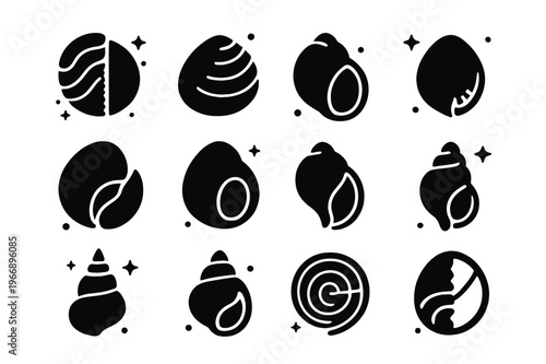 Shell Anatomy Icons. Scientific Study of Shells. Solid icons set of Scientific Study of Shells: periostracum, calcareous layer, umbo, hinge teeth, aperture,