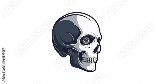 Detailed monochrome illustration of a human skull, side profile
