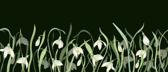 White snowdrops seamless horizontal banner watercolor illustration on black background. Spring drooping bell shaped blooms flowers repeating pattern for kitchen textile, organic skincare packaging