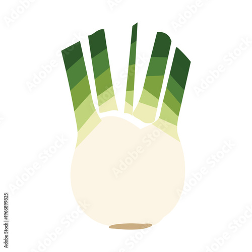 Isolated white onion with green leaves on in a colorful illustration