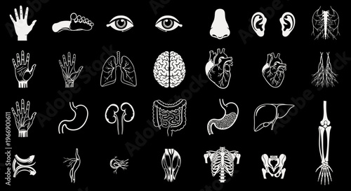 Collection of Human Anatomy Illustrations on Black Background.