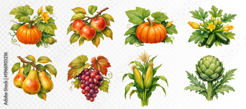 Rustic harvest icon collection with pumpkins, pears, grapes, corn, artichoke and yellow blossoms, charming botanical produce elements in detailed hand painted autumn style. Vector illustration.
