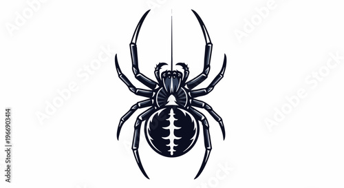 Detailed illustration of a dark spider hanging from a silk thread