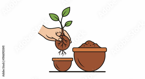 Hand planting a seedling into soil in a terracotta pot