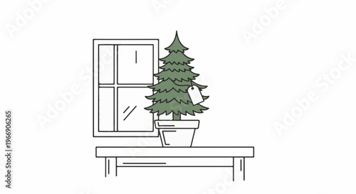 Potted evergreen tree with white tag sits near a window