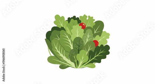 Bunch of fresh green leafy vegetables with red accents
