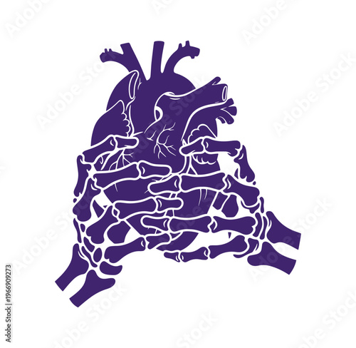Purple silhouette of a human heart with blood vessels isolated on white background