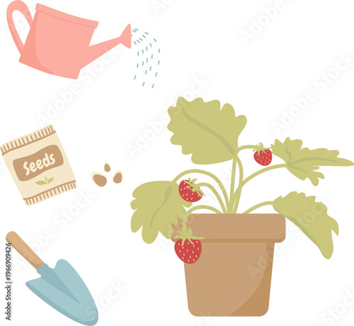 set of gardening tools and strawberry