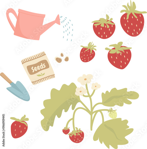 Strawberry Gardening Set with Seeds Watering Can