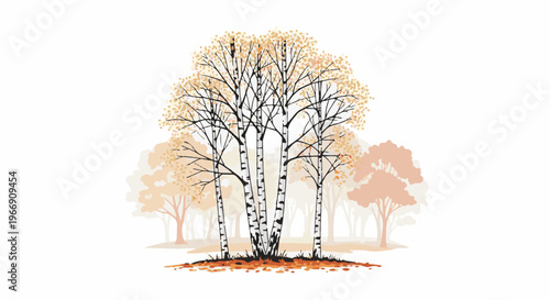 Birch trees with sparse autumn leaves in soft hues of orange and yellow