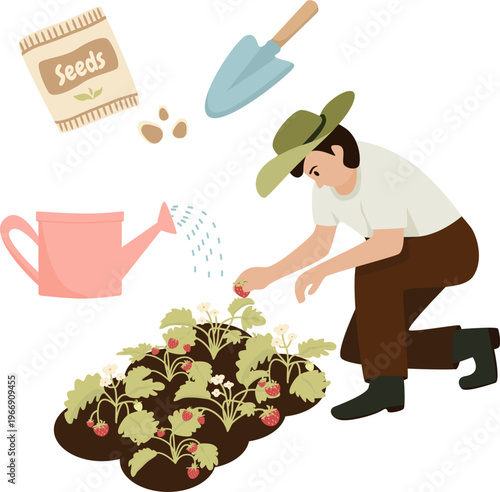 Farmer Planting Strawberries Gardening Illustration