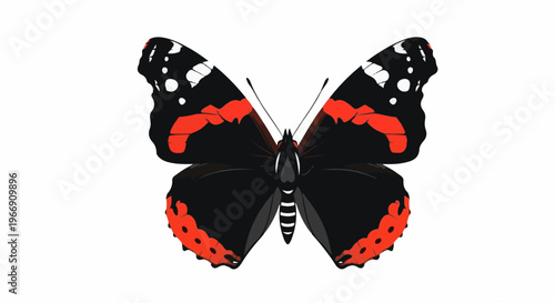 Black and red butterfly with white spots on wings