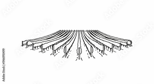 Black and white drawing of a vineyard in perspective with rows of vines