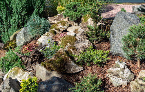 Alpine Gardening.  Rocks, soil, and hardy plants are put together  to make a beautiful, low-maintenance setting that looks like the Alps.