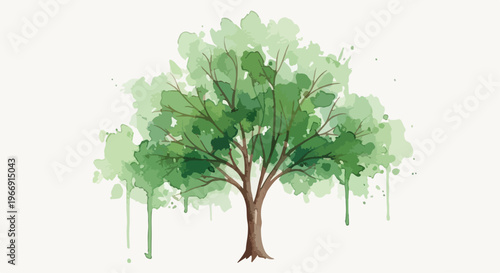 Watercolor Style Green Tree Vector Illustration isolated PNG with Transparent Background