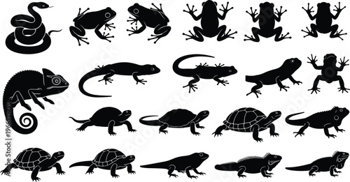 Reptile and amphibian black silhouette set with snake frog lizard turtle chameleon and iguana species isolated on white background for nature wildlife vector design.