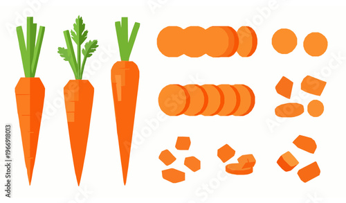 set of vegetables Fresh Carrot Collection Flat Vector Organic Vegetable Set