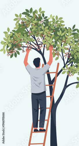 A man standing on a wooden ladder reaching up to pick fruit from a green tree