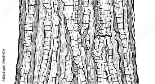 Detailed Black and White Illustration of Rough Tree Bark Texture