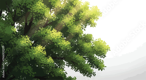 Vibrant Green Tree Canopy with Sunlight Rays Vector Illustration isolated PNG with Transparent Background