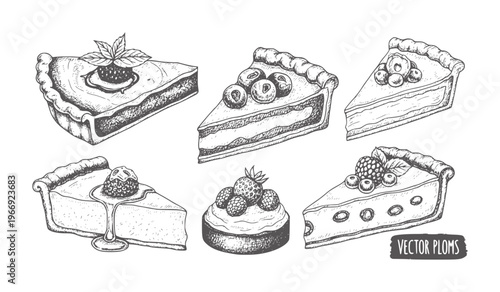 Six hand drawn slices of pie and tart with berries and mint berry strawberry