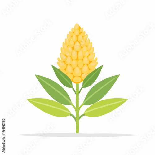 Cartoon illustration of a yellow corn flower with green leaves, isolated