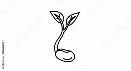A simple black and white outline drawing of a seedling emerging from a bean