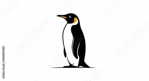 A simplified illustration of a penguin standing upright on a flat line