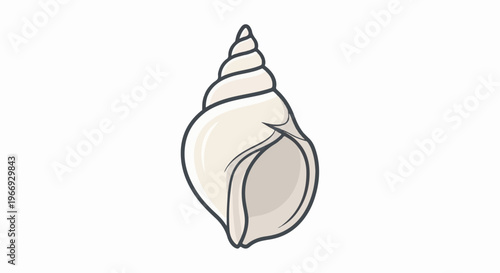 Simple illustration of a pointed, spiral seashell in pale ivory and beige tones