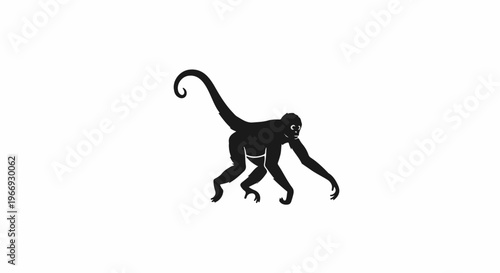 Silhouette of a monkey with a long, curled tail, on a white background