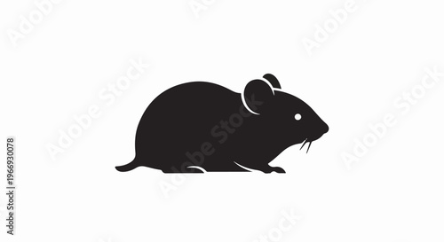 Silhouette of a small, dark rodent with large ears and whiskers on white