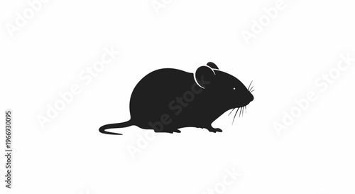 Silhouette of a small rodent with large ears and a long tail