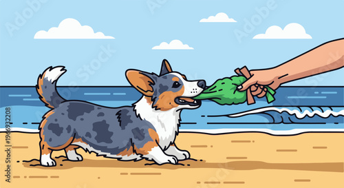 Dog playing tug-of-war with a toy at the beach