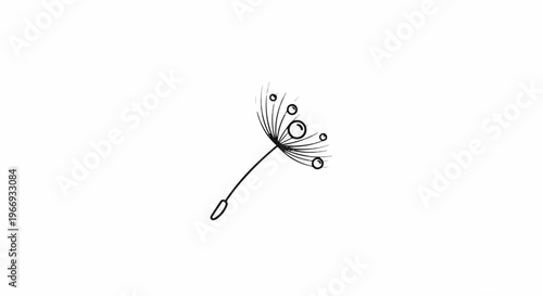 Delicate dandelion seed with water droplets, minimalist drawing