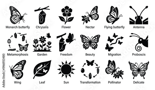 Collection of butterfly life cycle and nature silhouette icons representing metamorphosis, migration, and delicate ecological processes for educational biology and environmental projects