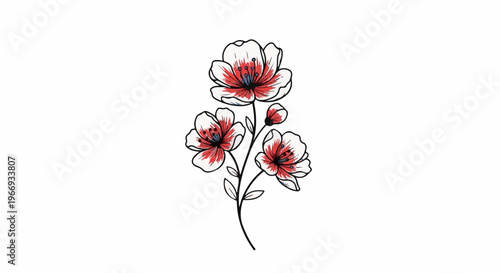 Delicate illustration of cherry blossoms with red centers on a white background
