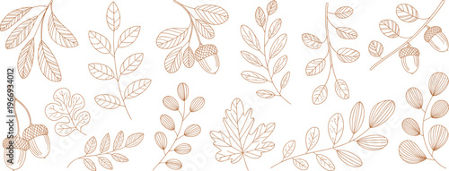 Autumn Leaves and Acorns Hand Drawn Botanical Elements Keywords: autumn, fall, leaves, acorns, oak, branches, botanical, nature
