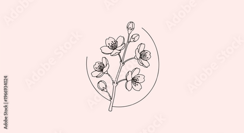 Delicate line art of cherry blossoms on a pale pink backdrop