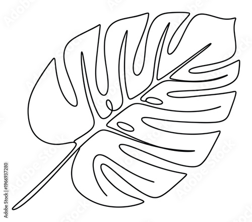 Monstera deliciosa leaf botanical outline drawing in a minimalist continuous line style perfect for modern home decor prints and natural plant themed branding