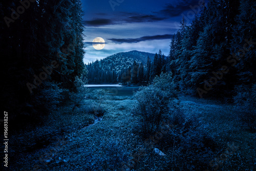 lake in summer mountain landscape at night. fresh body of water surrounded by coniferous forest in full moon light. spectacular scenery of alpine destination for photo tourism. mysterious fantasy
