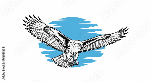 Detailed black and white illustration of a soaring bird of prey against a blue sky