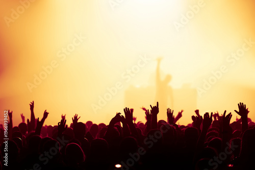 people at the concert