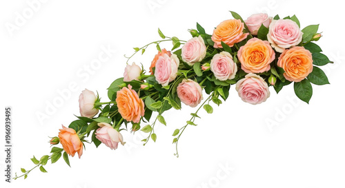 Floral arrangement of roses isolated on transparent background