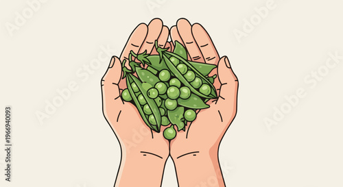 Cupped hands gently hold a bounty of fresh, green peas in pods