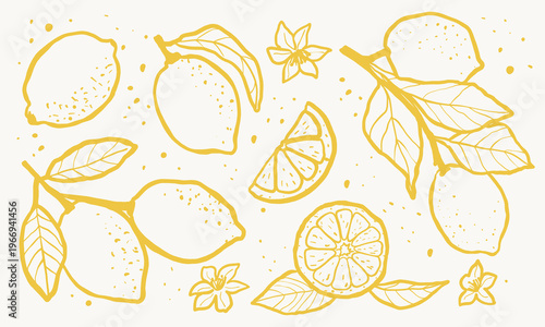 Set of lemons with leaves and flowers in hand-drawn sketch style. Perfect for packaging design, kitchen decor, food branding, posters, stickers, textile prints, and creative projects.