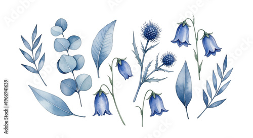 Blue floral illustration isolated on transparent background
