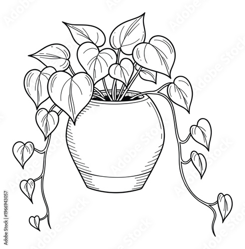 Stylized potted houseplant featuring heartshaped leaves and trailing vines, perfect for adding a touch of botanical elegance to home decor projects and gardeningthemed graphic compositions